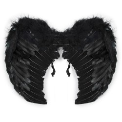 Skrzydła czarne pióra...