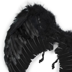 Skrzydła czarne pióra pierzaste skrzydełka