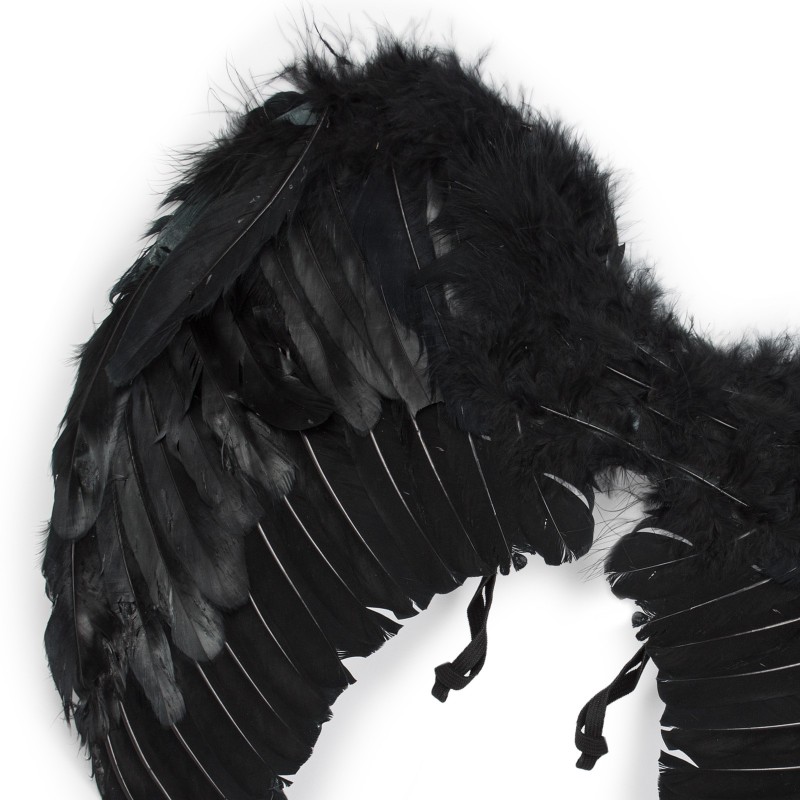 Skrzydła czarne pióra pierzaste skrzydełka