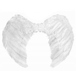 Pierzaste Skrzydła Anioła z...