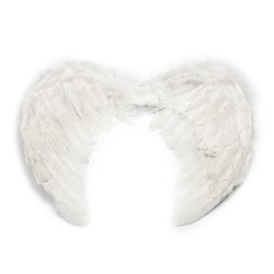 Pierzaste Skrzydła Anioła z...