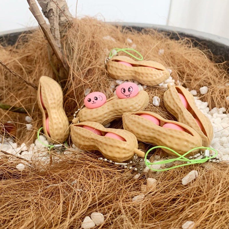 Fidget toy fistaszek orzech