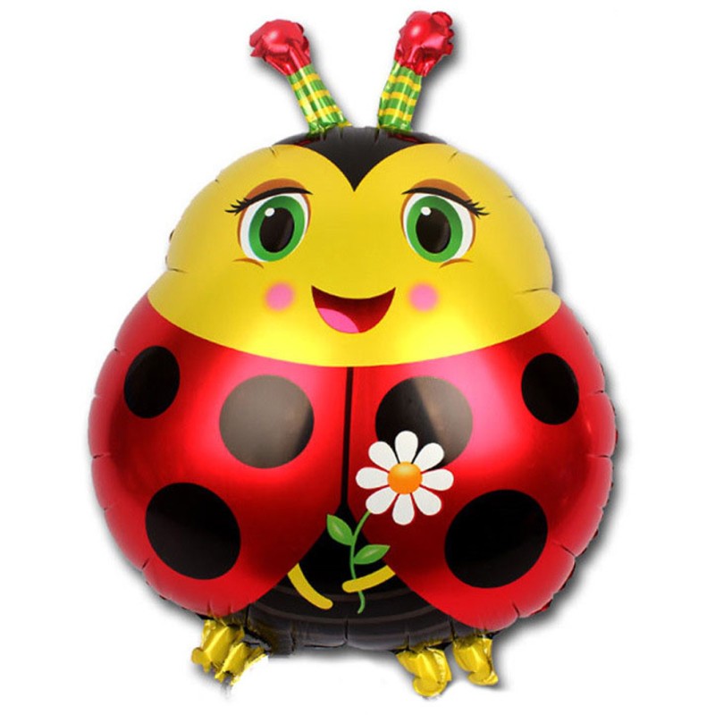 Balon biedronka