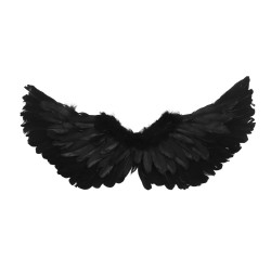 Skrzydła czarne pióra