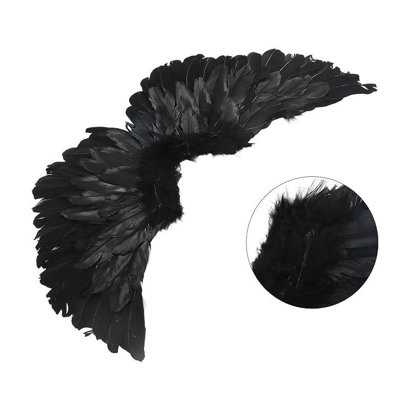 Skrzydła czarne pióra