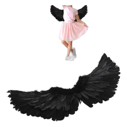 Skrzydła czarne pióra