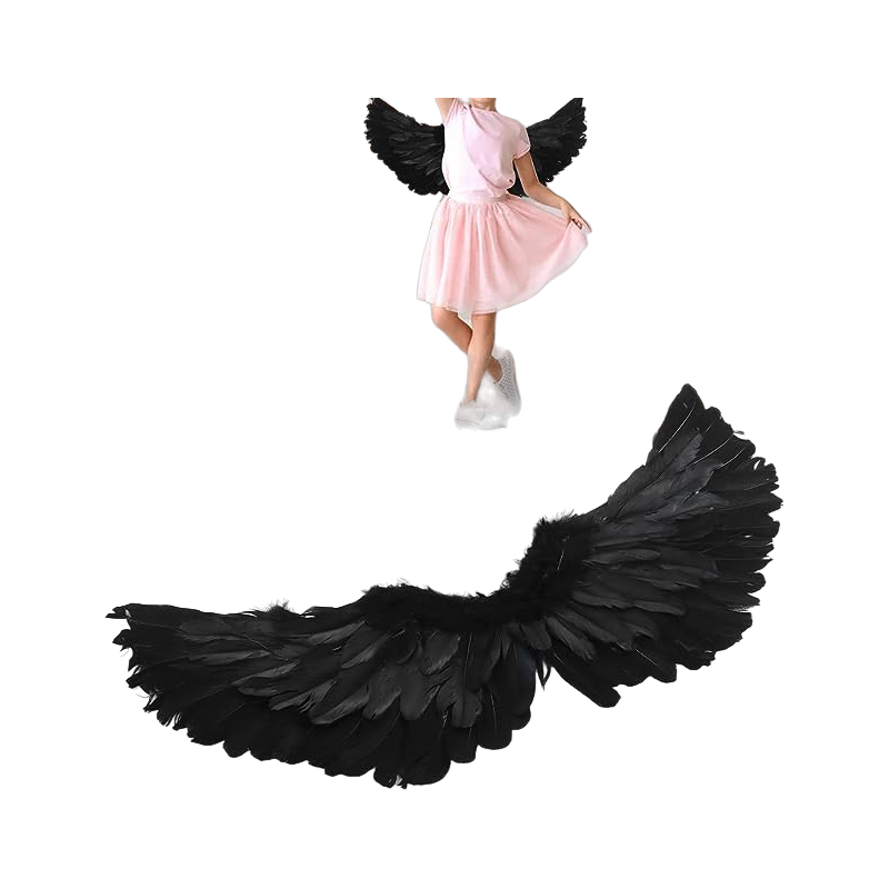 Skrzydła czarne pióra