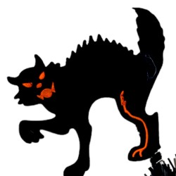 Opaska halloween koty kot