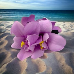 Spinka Kwiaty Hawajskie Aloha