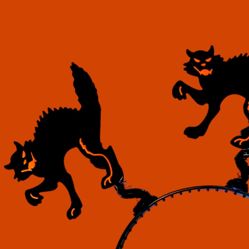 Opaska halloween koty kot