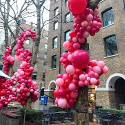 Balony róż fuksja lateksowe 10 cali 25cm