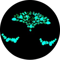 Kryształki świecące fluo Glow in the dark