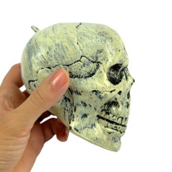 Dekoracja Halloween Czaszki 6szt. Czaszka