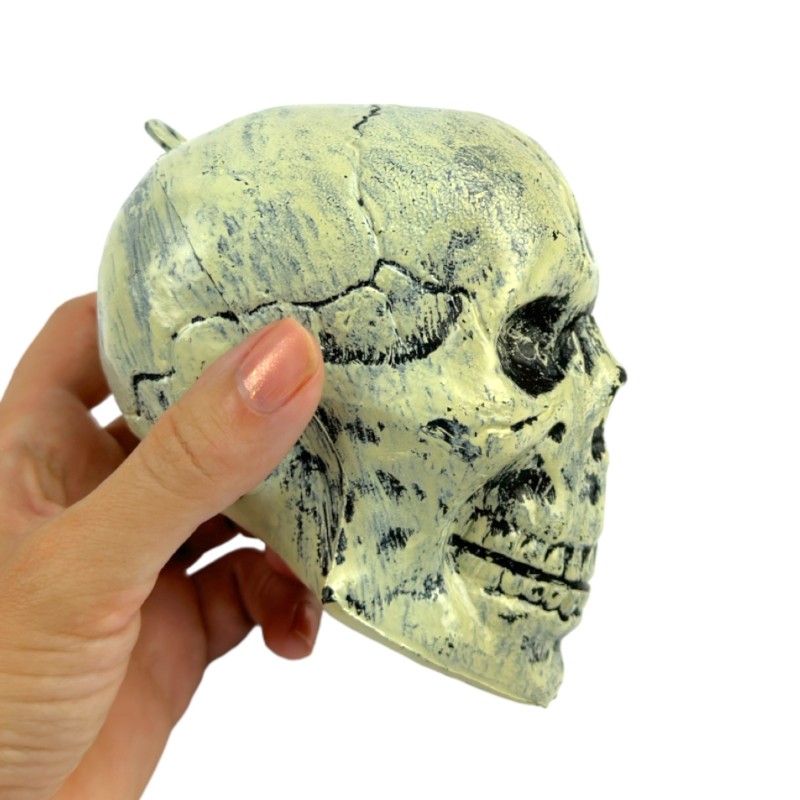 Dekoracja Halloween Czaszki 6szt. Czaszka