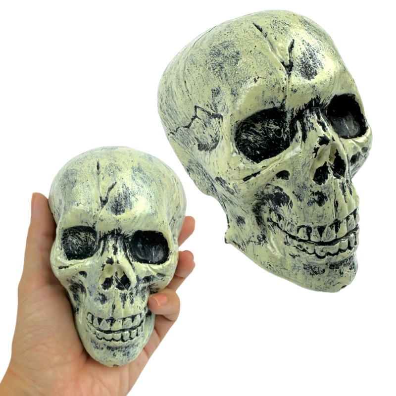 Dekoracja Halloween Czaszki 6szt. Czaszka