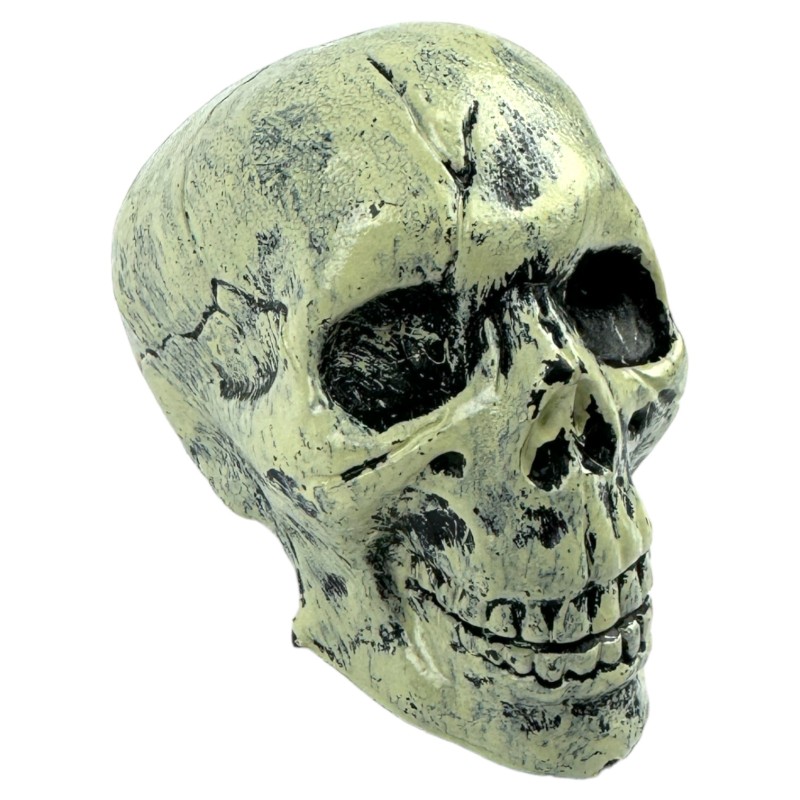 Dekoracja Halloween Czaszki 6szt. Czaszka