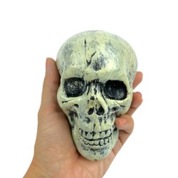 Dekoracja Halloween Czaszki 6szt. Czaszka