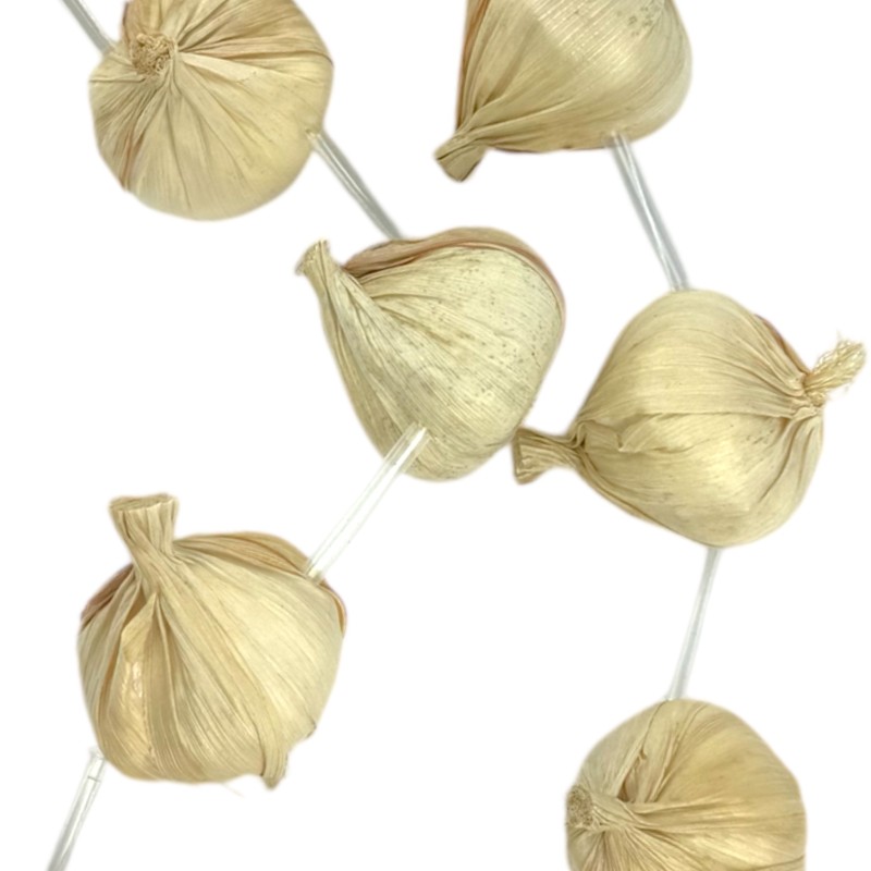 Naszyjnik Czosnek Główki czosnku Wampir