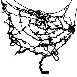 Zestaw kostium Pajęcza Królowa Spódniczka tutu okulary Pająk Pajęczarka