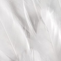 Zestaw Aniołka skrzydełka Aureolka Różdżka Aniołek Jasełka