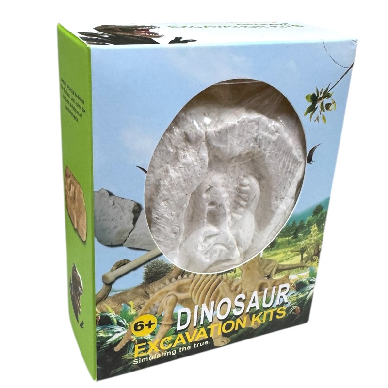 Zestaw Wykopaliska Dinozaur Szkielet 3D z Narzędziami