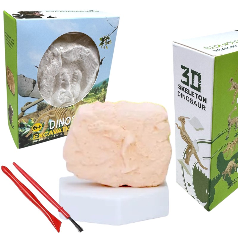 Zestaw Wykopaliska Dinozaur Szkielet 3D z Narzędziami
