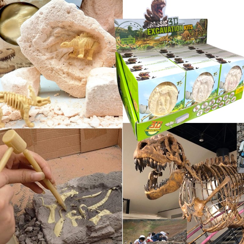 Zestaw Wykopaliska Dinozaur Szkielet 3D z Narzędziami