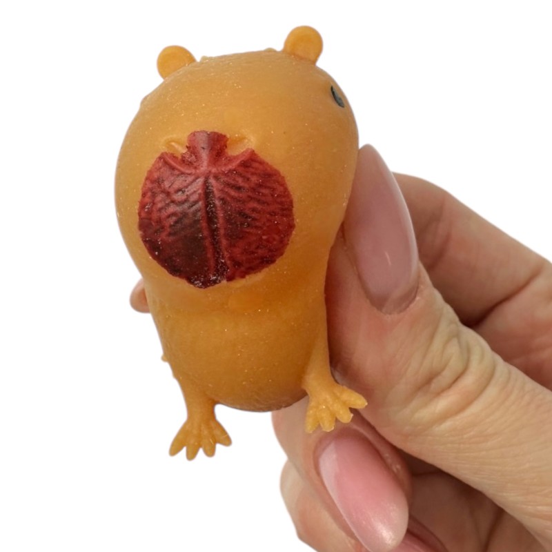 Gniotek Słodka Kapibara 4x3cm Bóbr