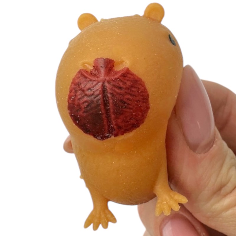 Gniotek Słodka Kapibara 4x3cm Bóbr