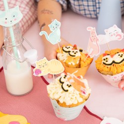 Toppery Kotki 6szt. Na Drewnianych Patyczkach