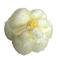 Zabawka Squishy Kocia Łapka z Kokosem