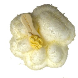 Zabawka Squishy Kocia Łapka z Kokosem
