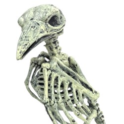 Dekoracja Halloween Szkielet Ptak 21 cm