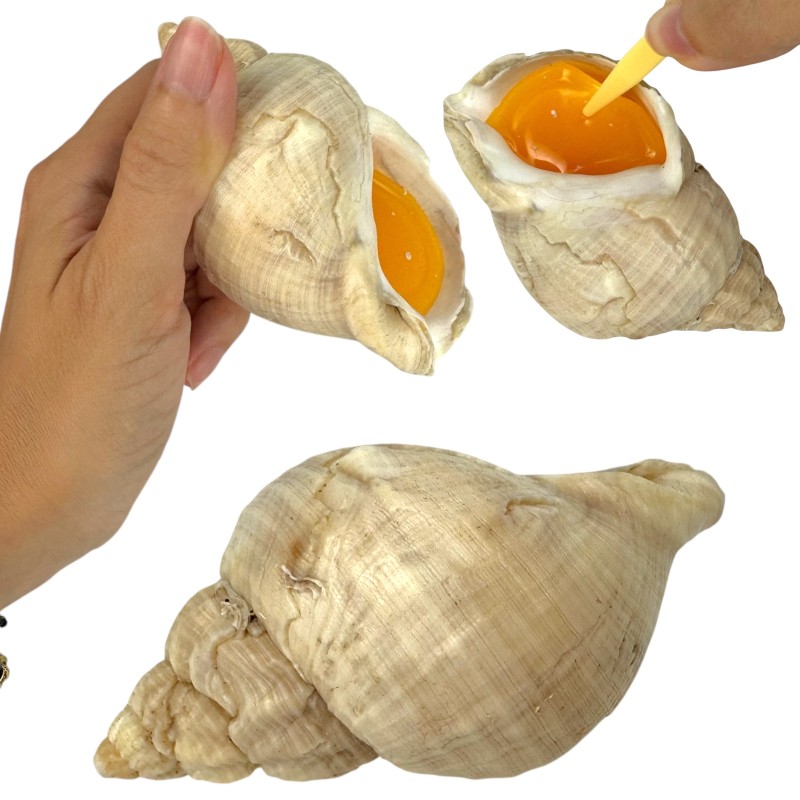 Zabawka sensoryczna muszelka z masą żelową 9cm