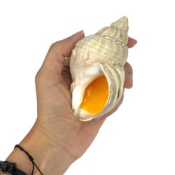 Zabawka sensoryczna muszelka z masą żelową 9cm