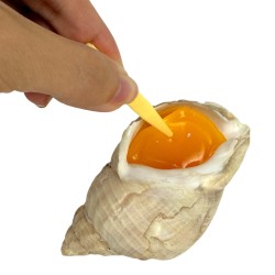 Zabawka sensoryczna muszelka z masą żelową 9cm