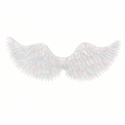 Świecące skrzydła białe 64x21 cm z organzy