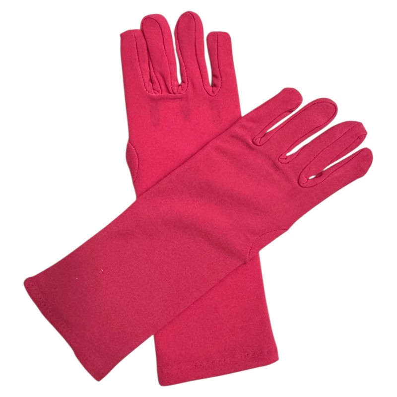 Zestaw Akcesoriów do Stroju Biedronka