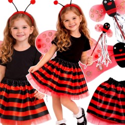 Kostium Biedronka...