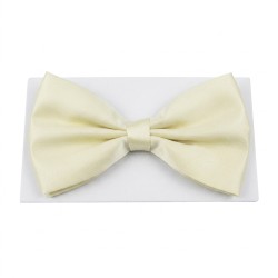 Muszka elegancka kremowa